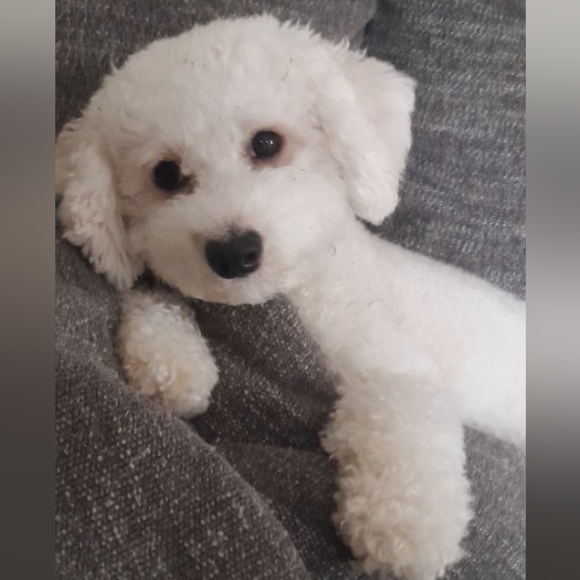 Crystals And Minerals - Picture 4 of 8